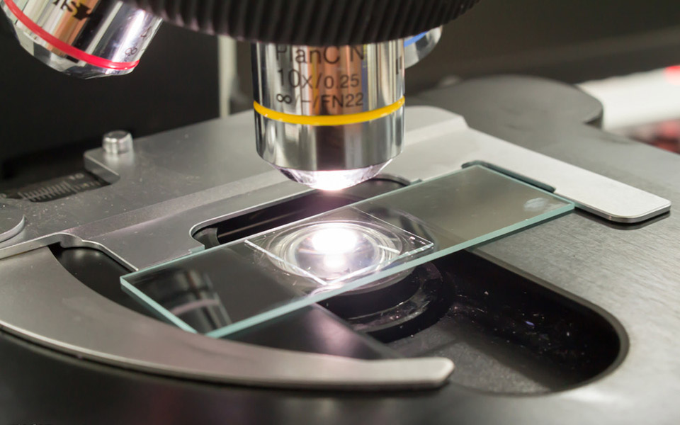 香港免费资料全年大全