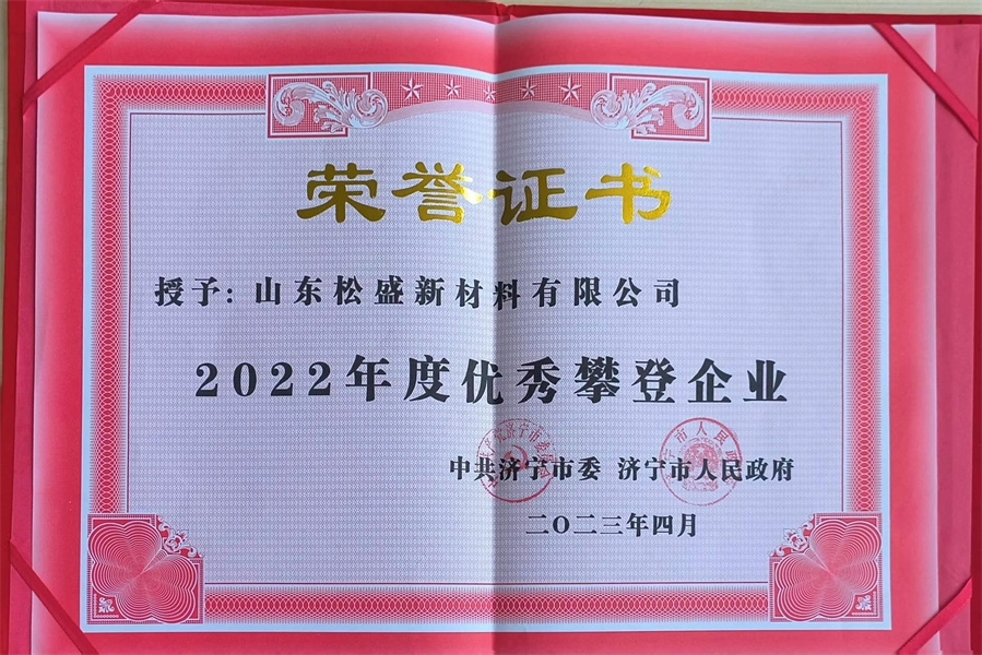 2022年度优秀攀登企业